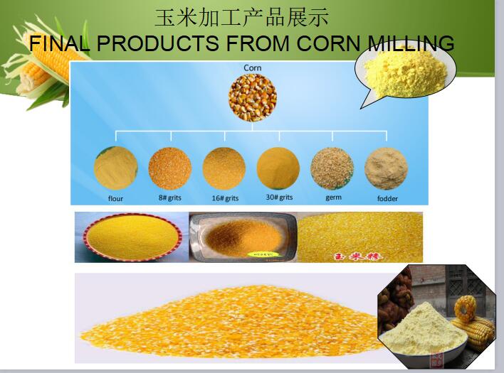 Henan White Wellflour Machinery Co., Ltd