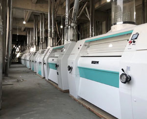 Henan White Wellflour Machinery Co., Ltd