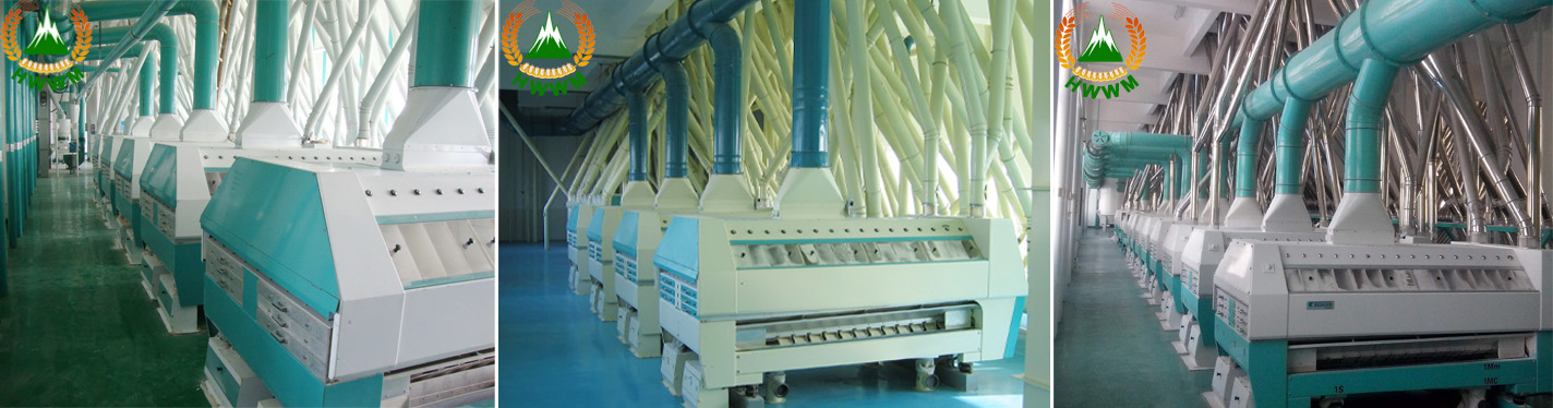 Henan White Wellflour Machinery Co., Ltd