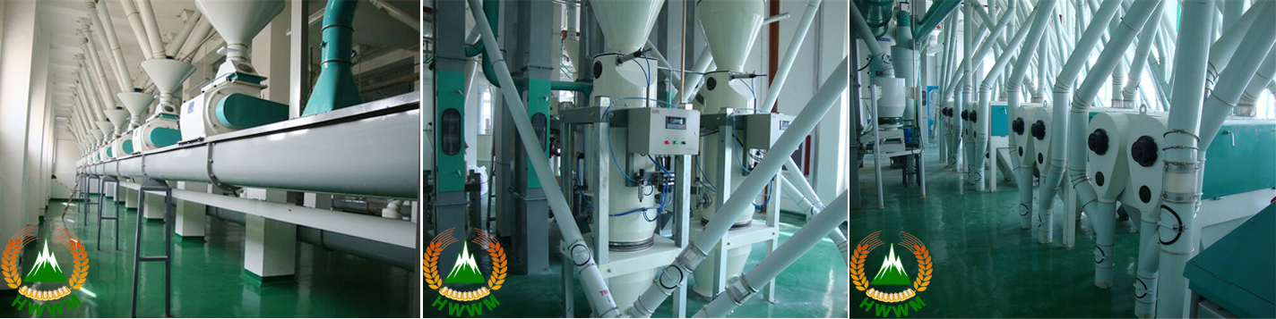 Henan White Wellflour Machinery Co., Ltd