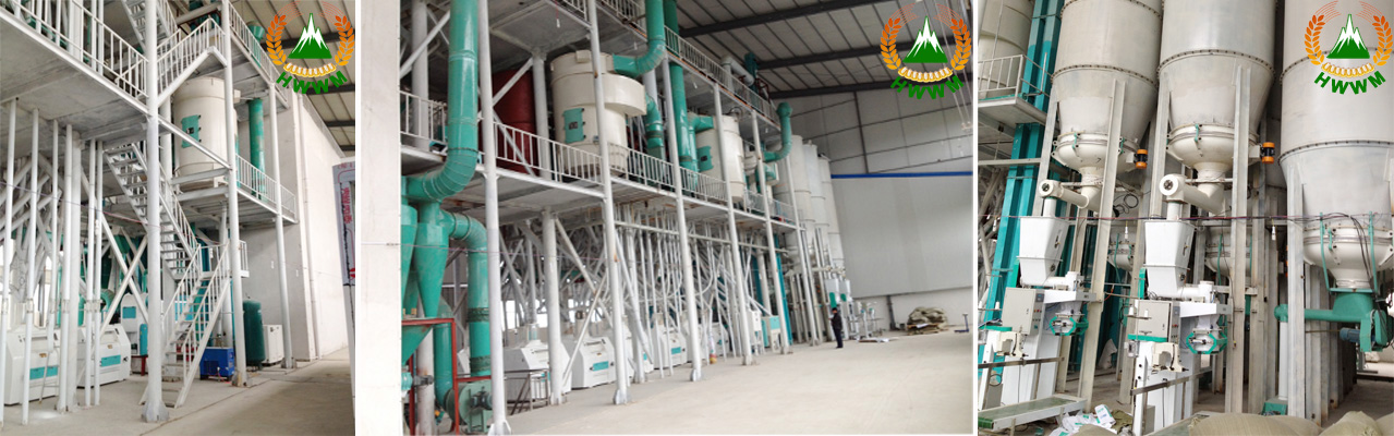 Henan White Wellflour Machinery Co., Ltd