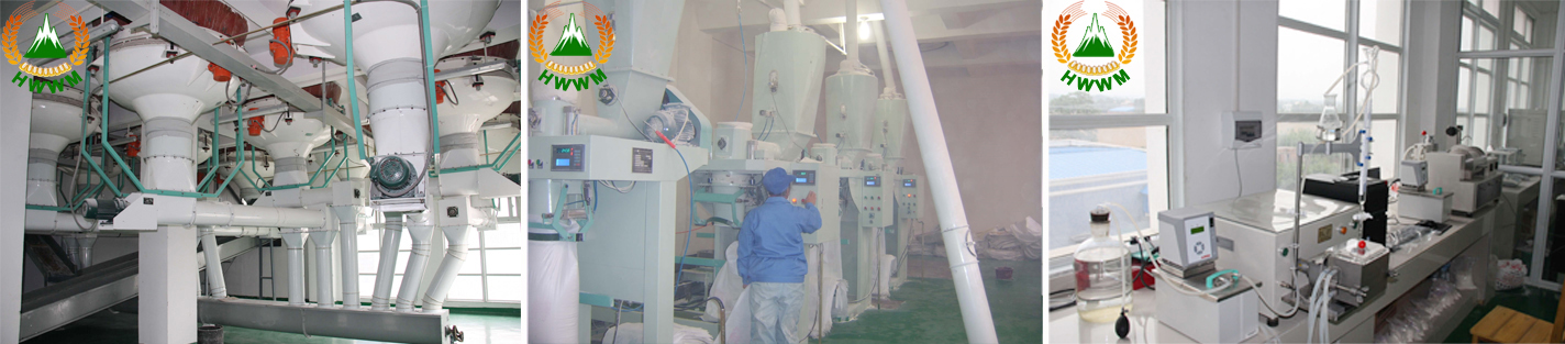 Henan White Wellflour Machinery Co., Ltd