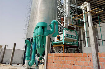 1000T Wheat Silos with Cleaning System in Algeria