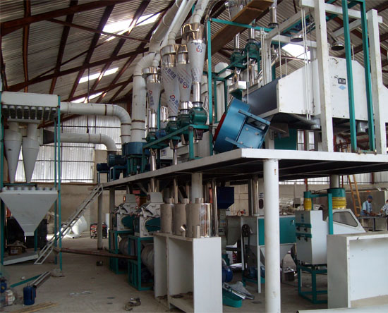 50TPD Maize Milling Plant