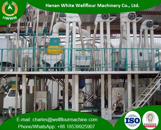 50TPD Maize Milling Plant