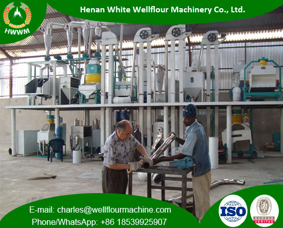 50TPD Maize Milling Plant