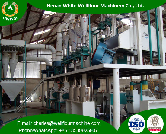 50TPD Maize Milling Plant