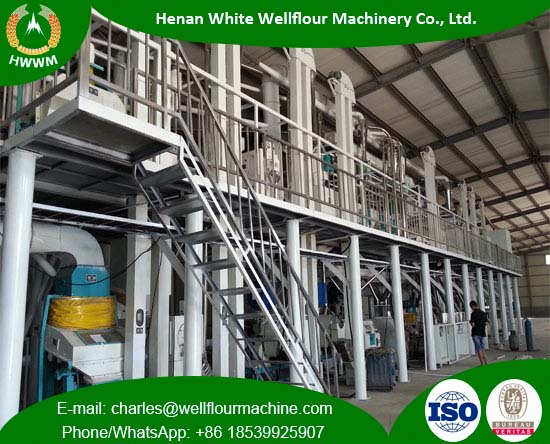 100TPD Maize Milling Plant