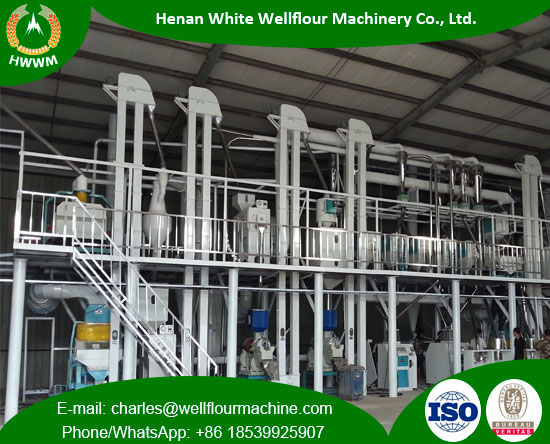 100TPD Maize Milling Plant