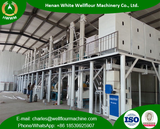 100TPD Maize Milling Plant