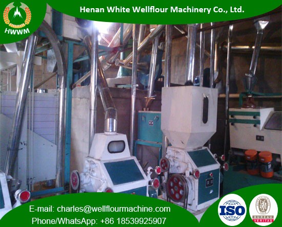 30 TPD Wheat Flour Mill Machinery