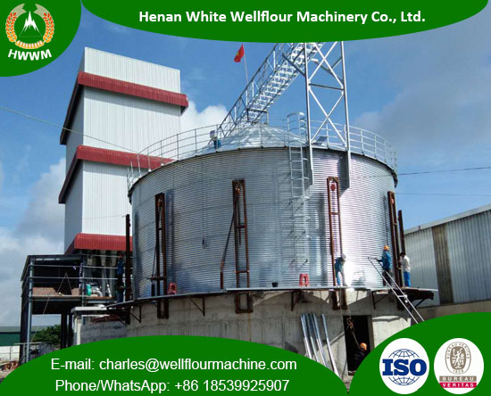 Capacity 1000T Galvanized Steel Silo