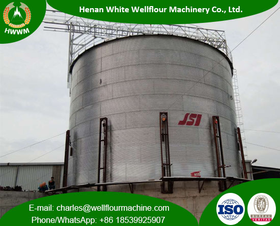 Capacity 1000T Galvanized Steel Silo