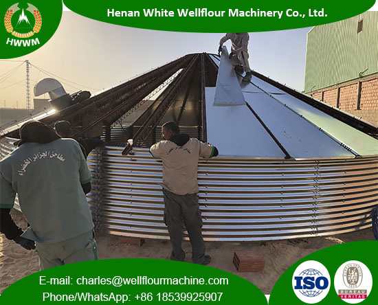 Capacity 1000T Galvanized Steel Silo