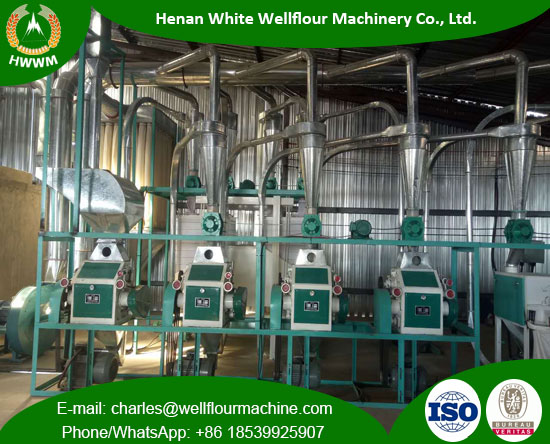 20 TPD Wheat Flour Mill Machinery