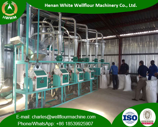 20 TPD Wheat Flour Mill Machinery