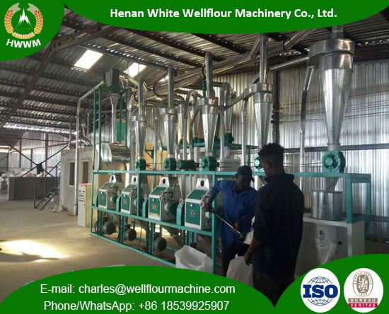 20 TPD Wheat Flour Mill Machinery