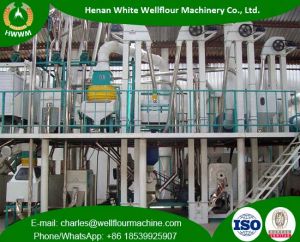 50TPD Maize Milling Plant