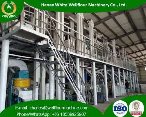 100TPD Maize Milling Plant