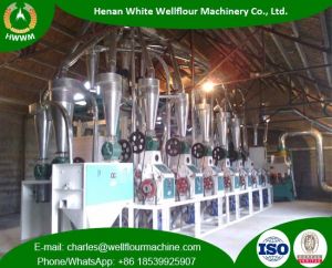 30 TPD Wheat Flour Mill Machinery