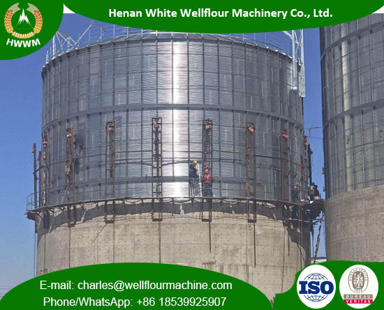 Vertical 1000-5000T Grain Silo