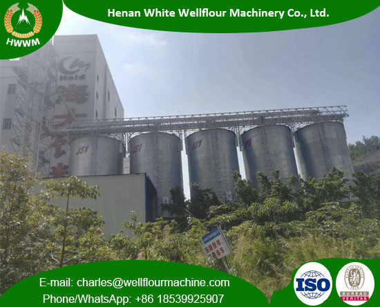 Vertical 1000-5000T Grain Silo