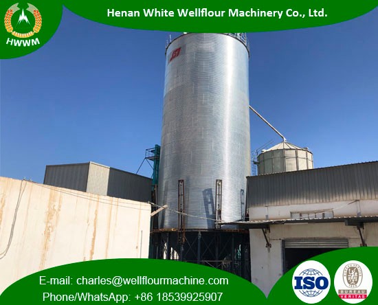 500-2000T Galvanized Assembled Steel Silo