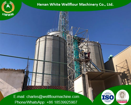 500-2000T Galvanized Assembled Steel Silo