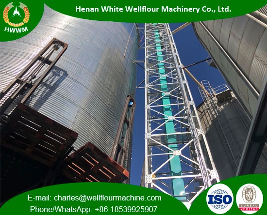 500-2000T Galvanized Assembled Steel Silo