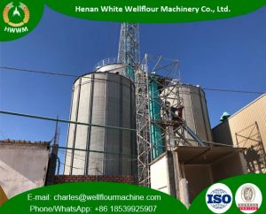 500-2000T Galvanized Assembled Steel Silo