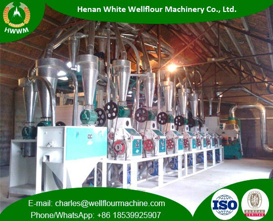 10-40 Tons Per Day Wheat Flour Mill