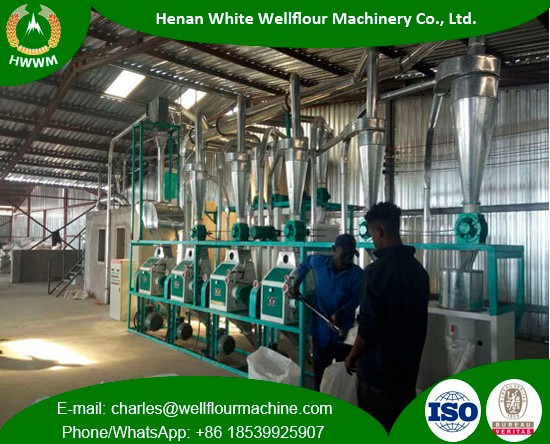 10-40 Tons Per Day Wheat Flour Mill