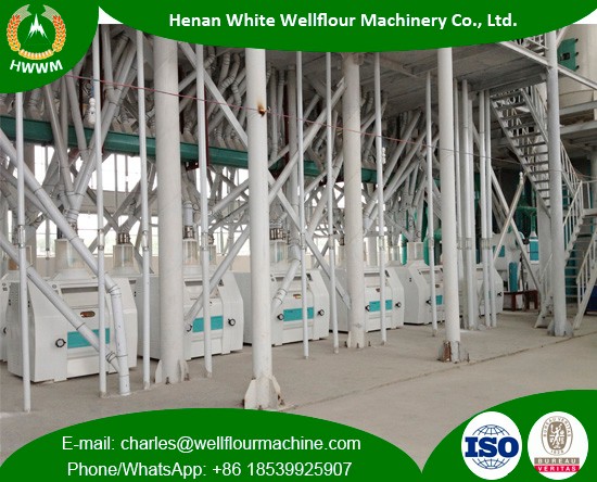 100-200TPD Steel Structure Wheat Flour Mills