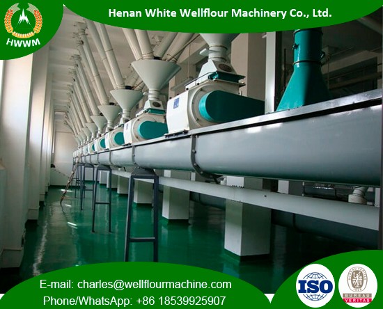 Large Capacity Concrete Workshop Wheat Flour Mills