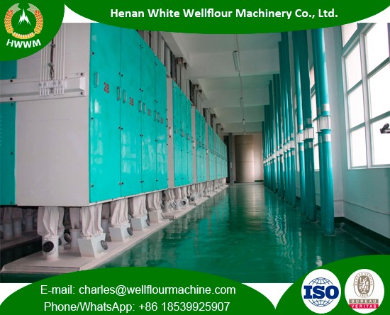 Large Capacity Concrete Workshop Wheat Flour Mills