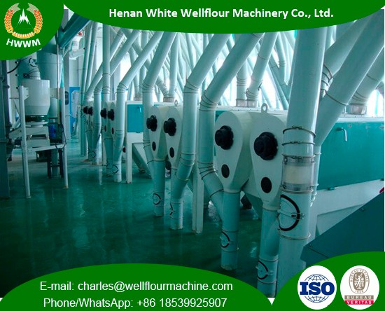 Large Capacity Concrete Workshop Wheat Flour Mills