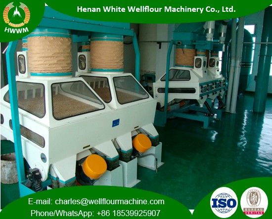 Large Capacity Concrete Workshop Wheat Flour Mills