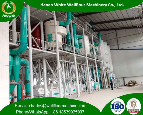 100-200TPD Steel Structure Wheat Flour Mills