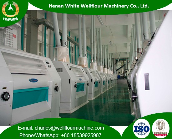 Large Capacity Concrete Workshop Wheat Flour Mills