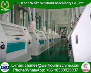 Large Capacity Concrete Workshop Wheat Flour Mills