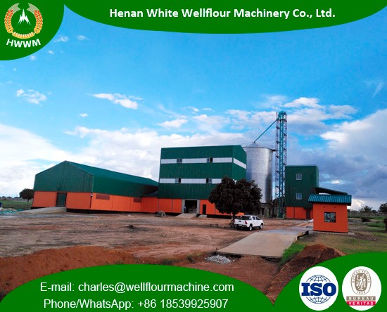 100-150TPD Maize Milling Machinery