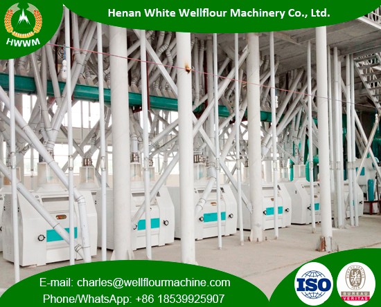 100-200TPD Steel Structure Wheat Flour Mills